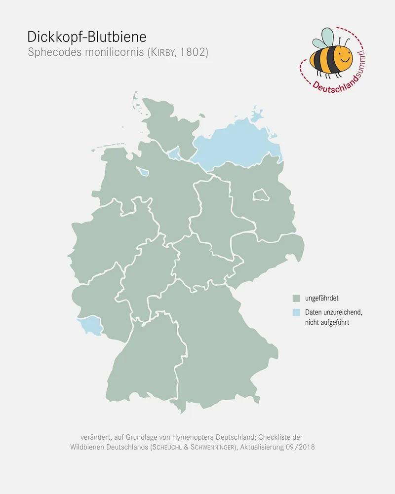 Verbreitungskarte der Dickkopf-Blutbiene. Klick führt zu Großansicht in einer Lightbox. Zum Schließen der Lightbox ESC drücken.