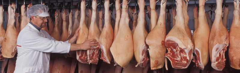 Mann steht vor einer Reihe hängender Schweinehälften.
