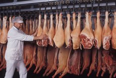 Vermarktung von Bio-Schweinefleisch