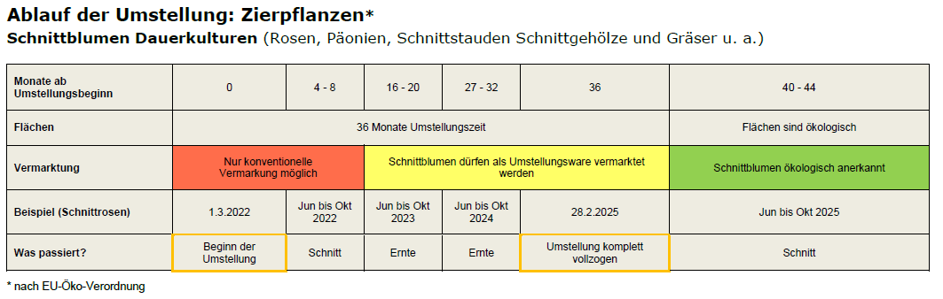 Umstellungsbeispiel für Ziepflanzen. Klick führt zu Großansicht im neuen Fenster.