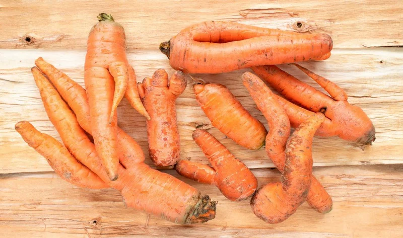 Vermarktungspotenzial von Suboptimal Food im Öko-Handel