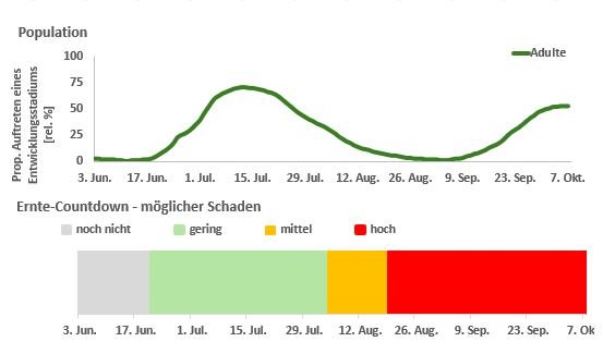 Ergebnis der Prognose und Gefahreneinschätzung. Klick führt zu Großansicht im neuen Fenster.