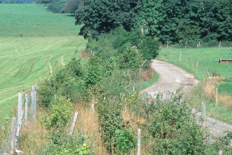 Feldhecke, Klick führt zu Großansicht, Schließen mit ESC