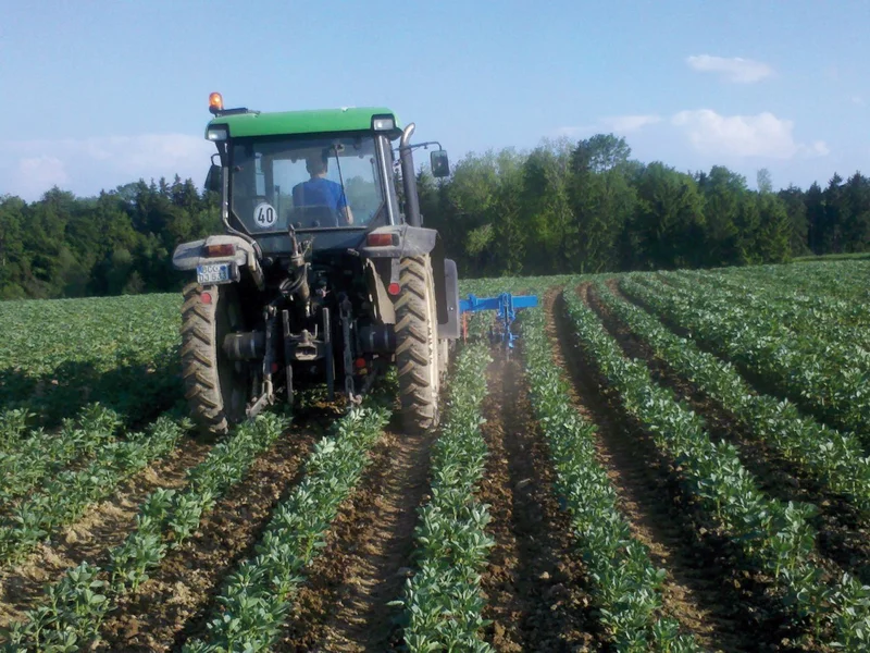 Traktor auf dem Feld beim Bohnenhacken.