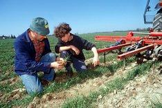 Auszubildender und Ausbilder auf einem Feld.