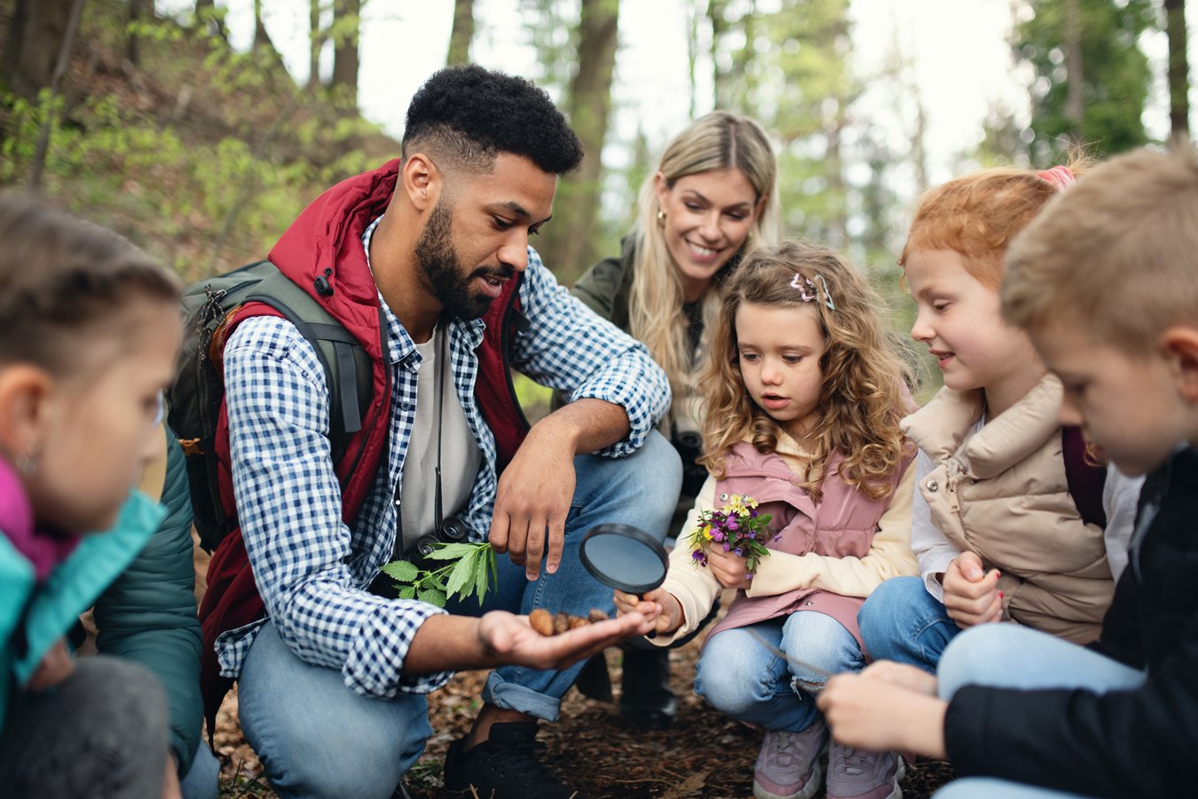 Mann zeigt Kindern im Wald Pflanzenteile. Klick führt zu Großansicht in neuem Fenster.