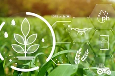 Handlungsmöglichkeiten nutzen: Landwirtschaft, Ernährung und Klimaschutz gemeinsam denken! 