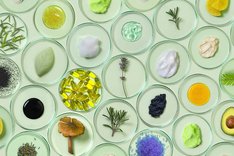 Was sollte ich beim Kauf von Naturkosmetik beachten?