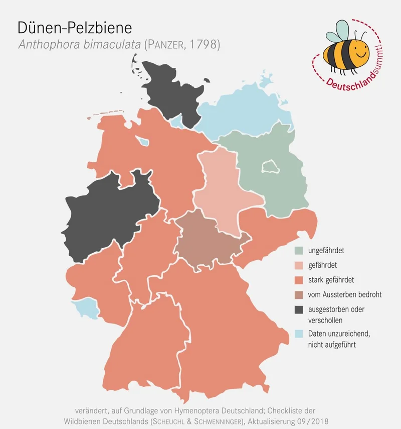 Nachweiskarte und Gefährdung der Dünen-Pelzbiene. Klick führt zu Großansicht in einer Lightbox. Zum Schließen der Lightbox ESC drücken.