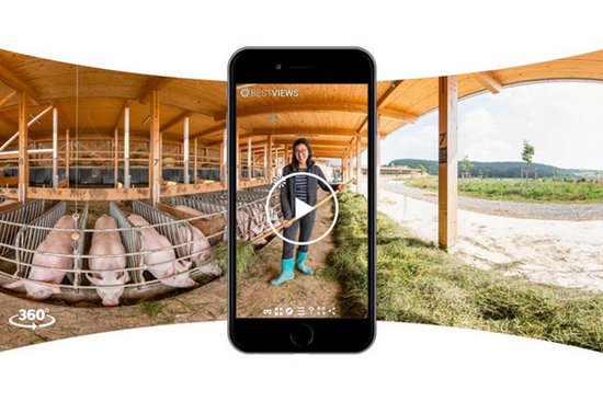 Ansicht durch Smartphone auf Bäuerin im Schweinestall