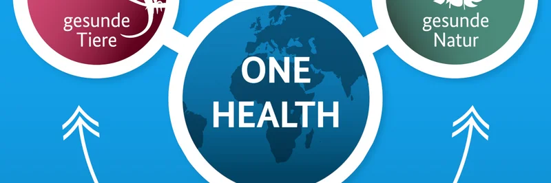 Grafik zu One Health.