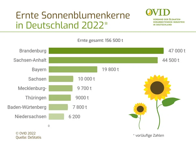 Infografik zum Anbau von Sonnenblumen 2022 in Deutschland nach Bundesländern. Klick führt zu Großansicht in neuem Fenster.