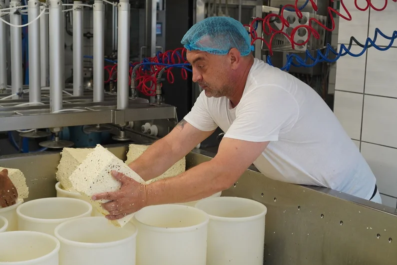 Mann hievt einen Block Käse in einen Eimer.