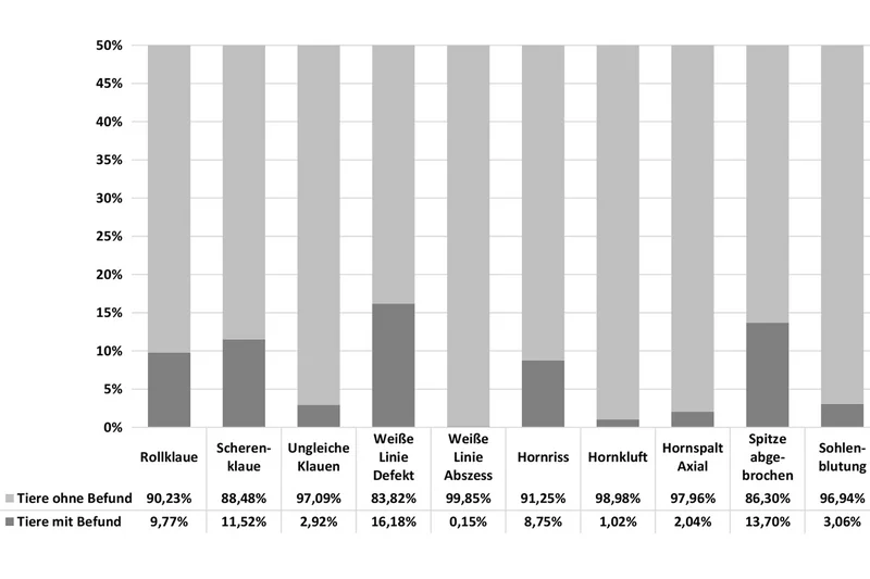 Tabelle zum Anteil der Tiere mit und ohne Klauenbefunden