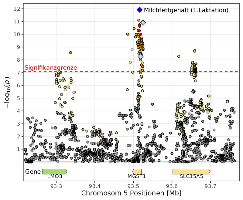 Grafik, die zeigt, dass die MGST1 eine hohe Signifikanz für Milchfettgehalt zeigt. Klick führt zu Großansicht.