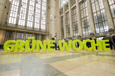 Grüne Woche als riesige Buchstaben in der Halle Messe Berlin. Klick führt zu Großansicht.
