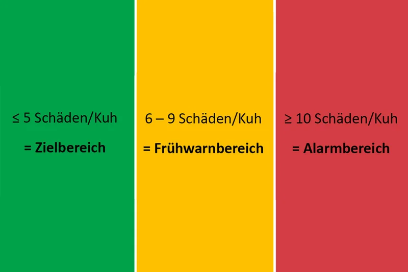 Grafik zur Ampelbeurteilung hornbedingter Hautschäden am Einzeltier. Klick führt zu Großansicht im neuen Fenster.