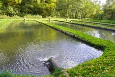 Ökologische Aquakultur und nachhaltiger Wildfisch