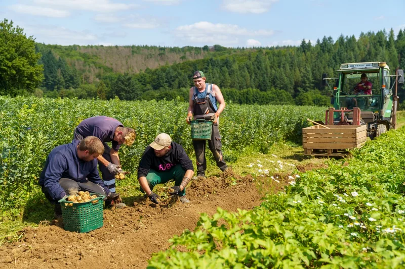 Gruppenfoto auf Strohballen