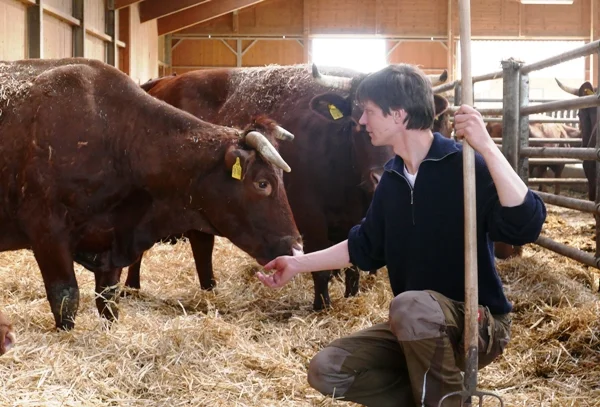 Landwirt bei Kühen im Stall. Klick führt zu Großansicht im neuen Fenster.