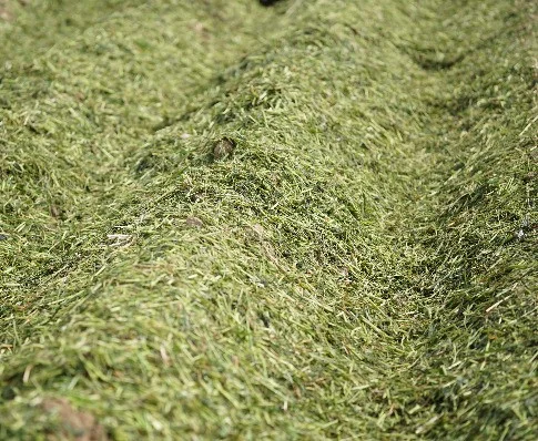 Düngung und Pflanzenernährung mit Transfermulch
