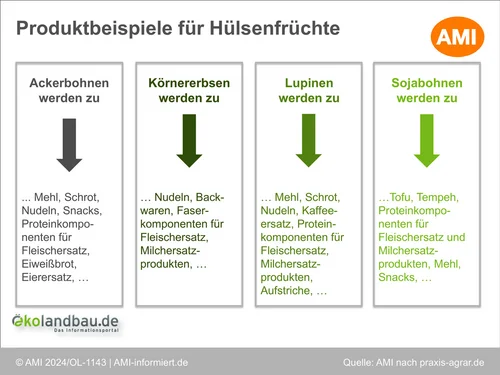Grafik was aus den unterschiedlichen Hülsenfrüchten hergestellt werden kann. Klick führt zu Großansicht in einer Lightbox. Zum Schließen der Lightbox ESC drücken.
