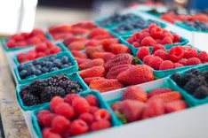 Bio-Beerenobst: Marktentwicklung in Deutschland