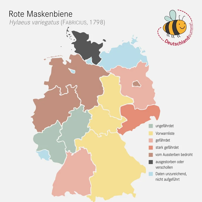 Verbreitungskarte der roten Maskenbiene. Klick führt zu Großansicht im neuen Fenster.