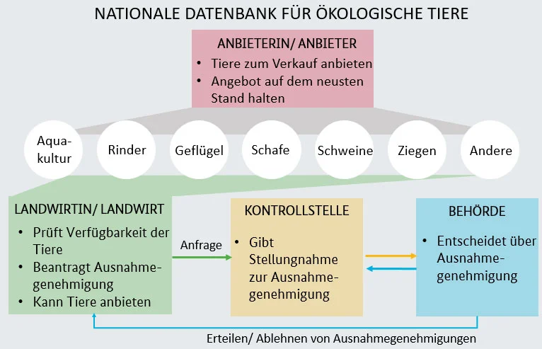 Schema
