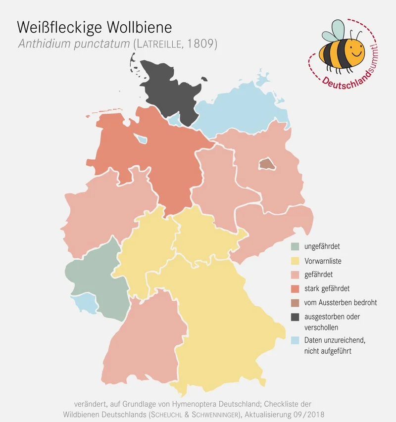Verbreitungskarte der Weißfleckigen Wollbiene. Klick führt zu Großansicht in einer Lightbox. Zum Schließen der Lightbox ESC drücken.