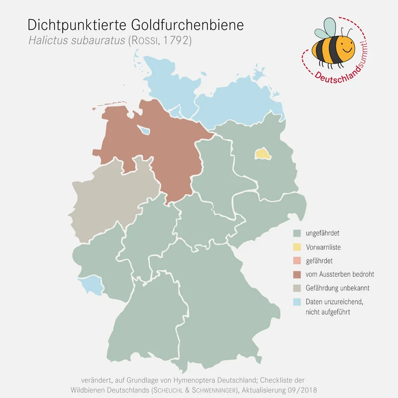 Verbreitungskarte der Dichtpunktierten Goldfurchenbiene. Klick führt zu Großansicht.