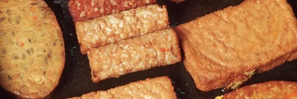 verschiedene gebratene Fleischersatzprodukte