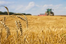 Neue EU-Öko-Verordnung: Was ändert sich für Öko-Landwirtinnen und -Landwirte?