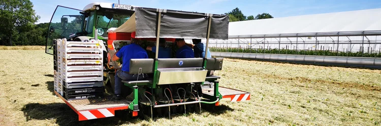 Maschine auf Feld.