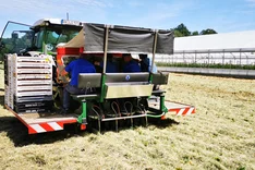 Gepflanzt, geschaut, geerntet