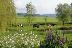 Demeterhof Breit