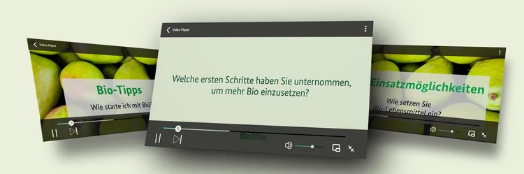 Bildcollage mit Videoscreenshots