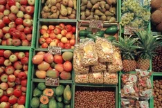 Anbieter von Fortbildungen Handel und Vermarktung