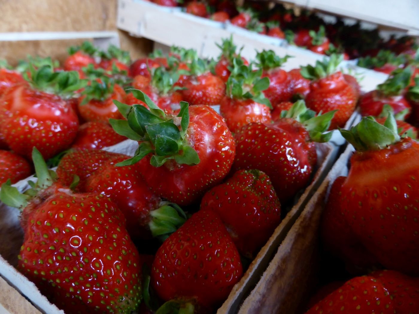 Erdbeeren