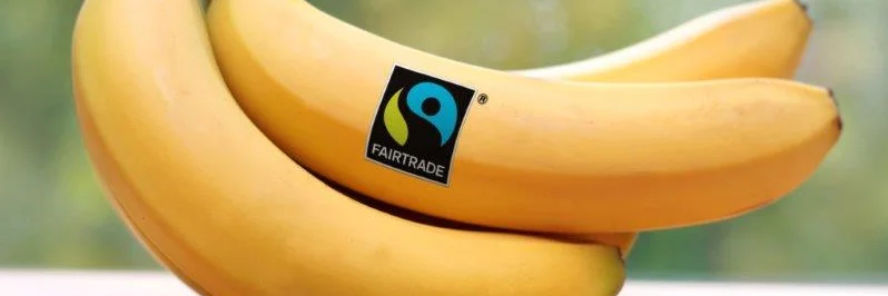Bananen. Klick führt zu Großansicht im neuen Fenster.