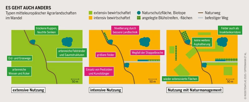 Grafik zur Veränderung der Agrarlandschaften. Klick führt zu Großansicht in neuem Fenster.