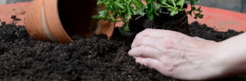 Hand schöpft Erde in Blumentopf