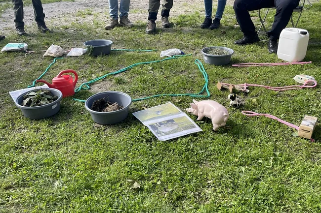 Verschiedene Schalen und Bilder und andere Tools, die auf einer Wiese liegen.