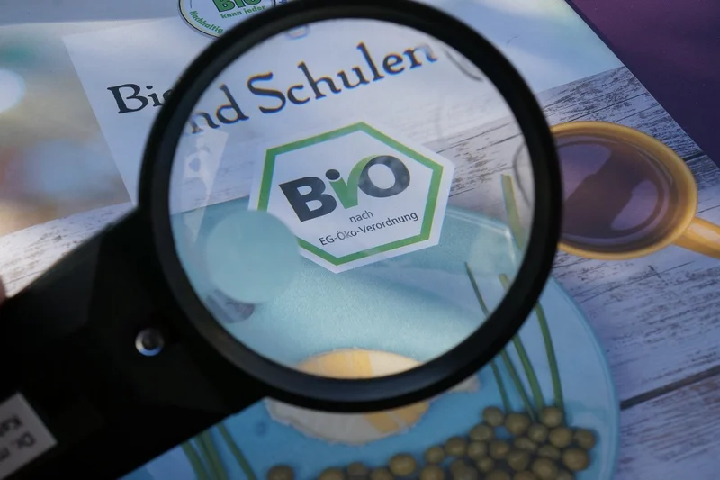 Bio-Zeichen unter einer Lupe. Klick führt zu Großansicht im neuen Fenster.