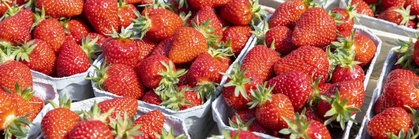 Erdbeeren in Pappschälchen.