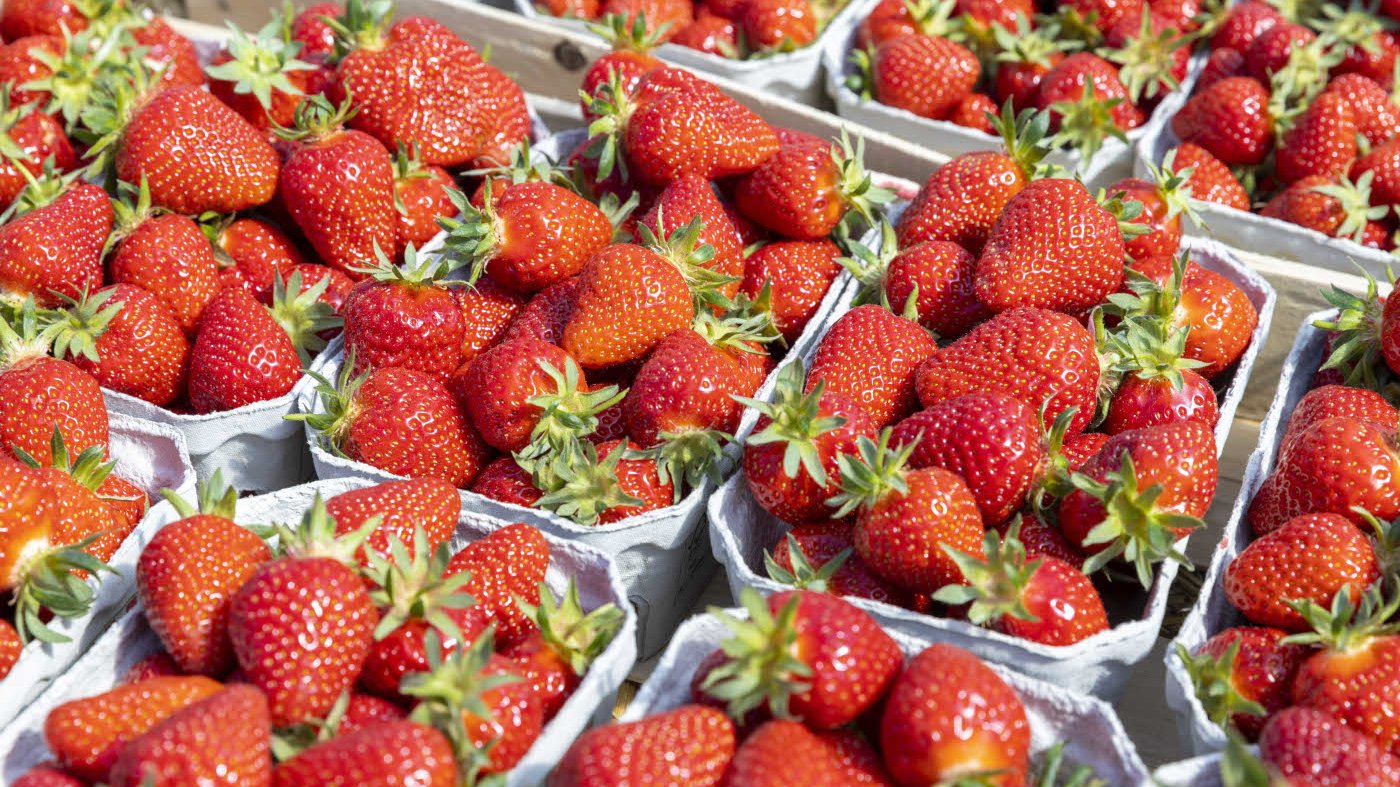 Erdbeeren in Pappschälchen.