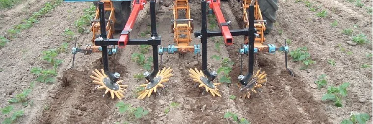 Fingerhacke im Einsatz auf einem Erdbeerfeld.