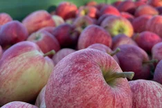 Strategien zur überregionalen Kundenbindung für Obst- und Gemüseprodukte aus BW