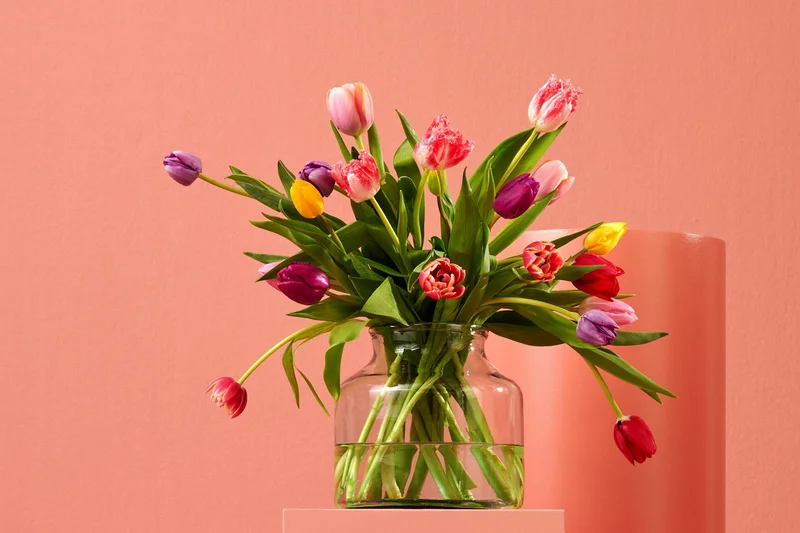 Bunter Tulpenstrauß. Klick führt zu Großansicht im neuen Fenster.