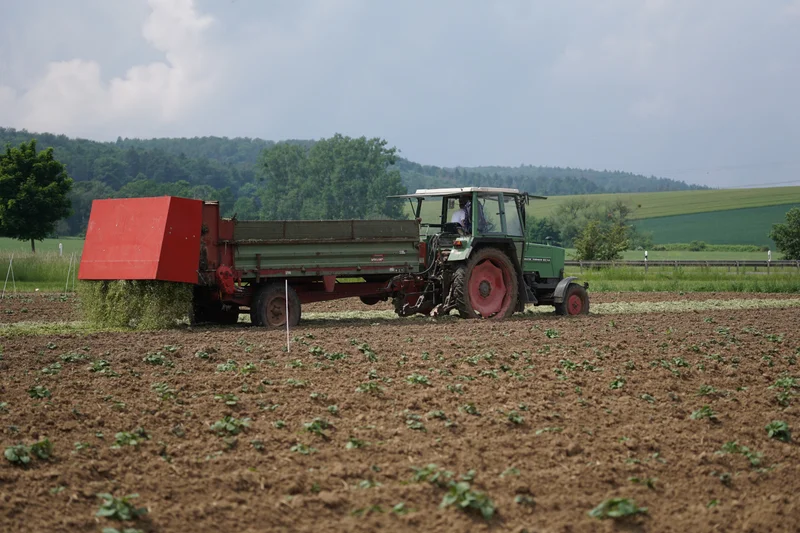 Mulchausbringung per Miststreuer